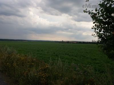20200811_175325.jpg