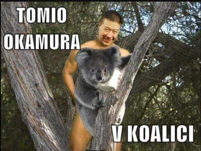koalice.jpg
