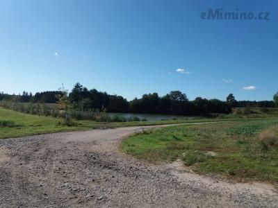20201004_135037.jpg