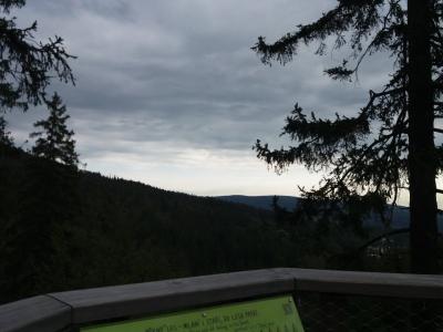 20200802_093016.jpg