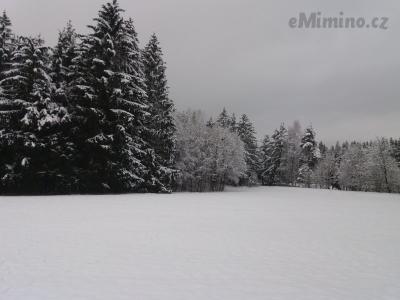 20210109_142838.jpg