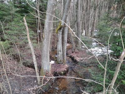 20210328_154325.jpg
