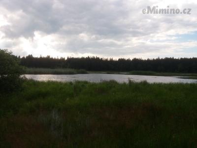 20200703_173234.jpg