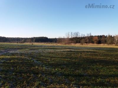 20201231_132531.jpg