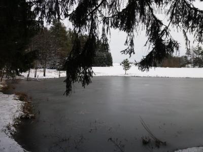 20200229_144430.jpg