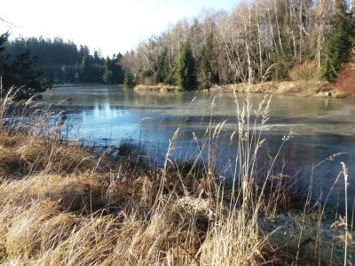20201231_133541.jpg