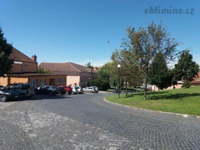 20200905_125656.jpg
