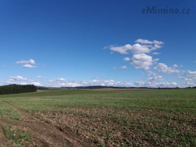 20201004_141156.jpg