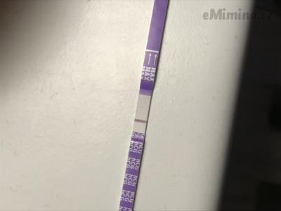 DD26951D-E74D-44CE-AA13-D4D7EEA4D5C0.jpeg
