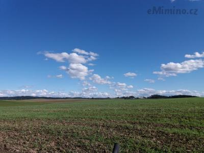 20201004_141150.jpg
