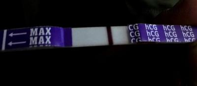 IMG_20201016_122215.jpg