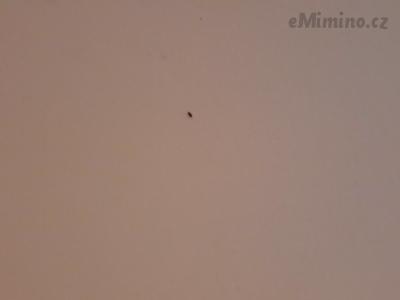 20200728_234625.jpg