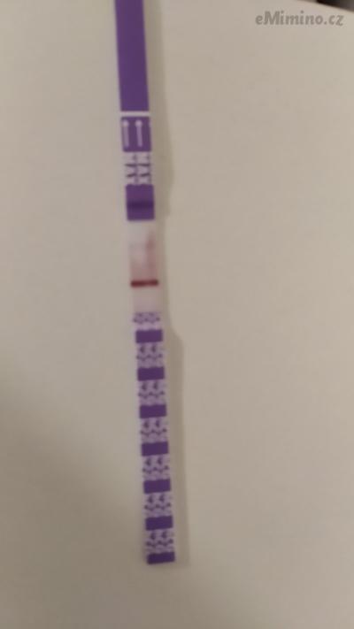 IMG_20201101_124919.jpg