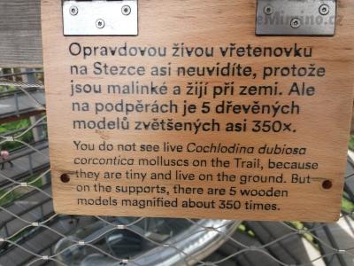 20200802_100634.jpg