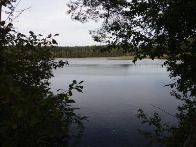 20201003_132324.jpg