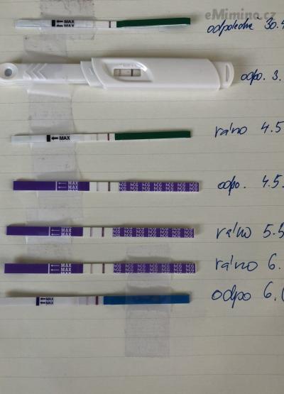 0644B922-114E-434F-8AE5-4E09CF8D67F3.jpeg
