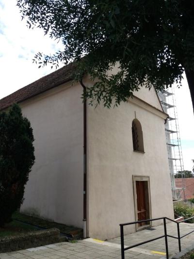 20200904_131728.jpg