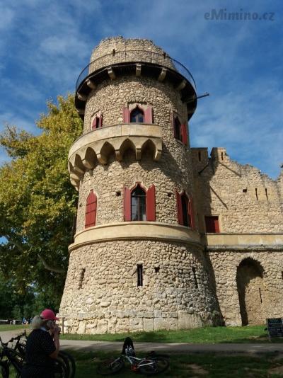 20200904_114555.jpg