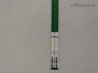 IMG_20210405_122147.jpg