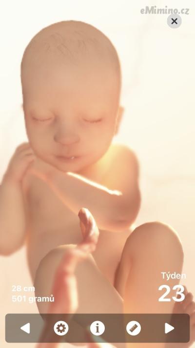 EA6B0E76-AE1C-4D75-86E2-50A247991B6B.png