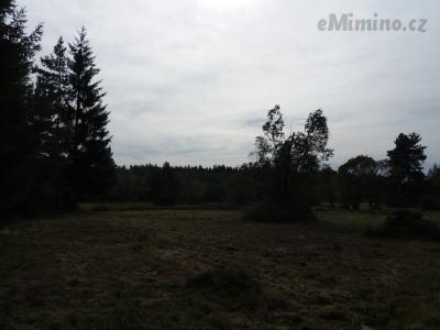 20201003_132454.jpg