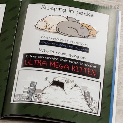 how-to-tell-if-your-cat-is-plotting-to-kill-you3.jpg