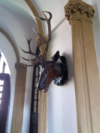 20200904_115713.jpg