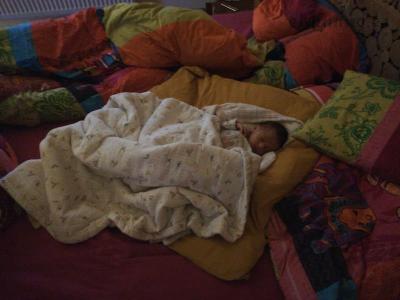 IMG_20201116_075855_BURST002.jpg