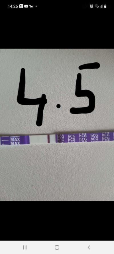received_154659713277148.jpeg