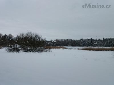 20210119_124934.jpg