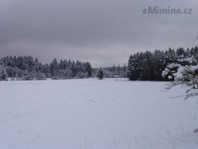 20210109_143335.jpg