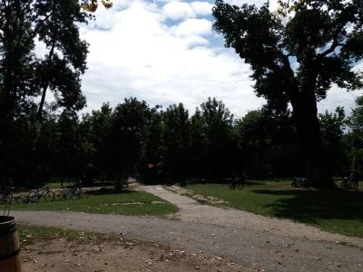 20200904_113911.jpg