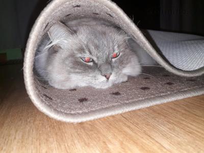 20201001_185252.jpg