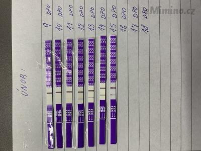 C6A8D45D-37A6-4E09-BED7-6E83B19B097C.jpeg