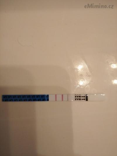 1617818516540.jpg
