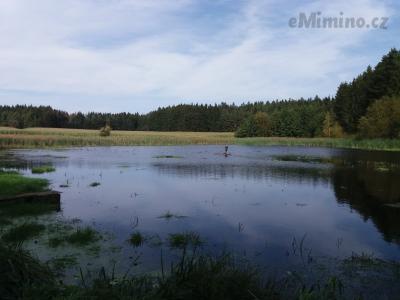 20201003_125709.jpg