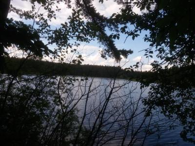20200703_174242.jpg