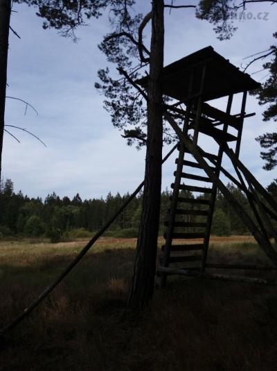 20201003_131309.jpg