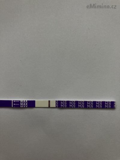 FF6C0527-276E-4FFD-BE6D-6214A04CDEFA.jpeg