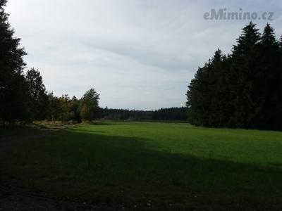 20201003_125202.jpg