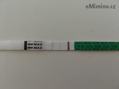 8114439.jpg