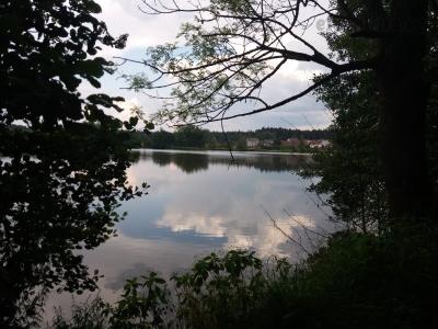 20200811_172703.jpg