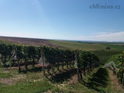 20200905_134825.jpg