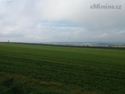 20200830_141306.jpg