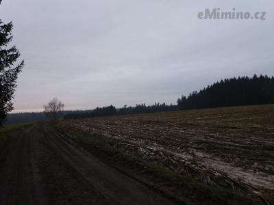 20201122_145456.jpg