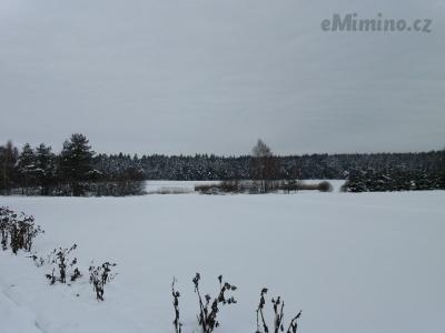20210119_124455.jpg