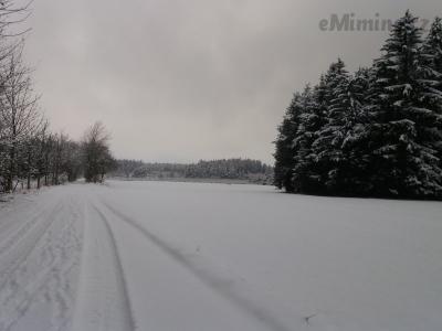 20210109_142754.jpg
