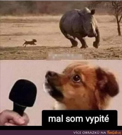 mel-jse.jpg