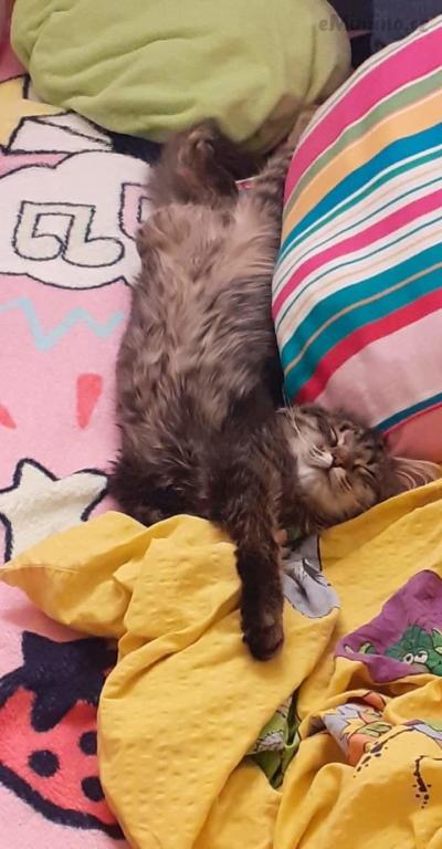 received_406349640381707.jpeg