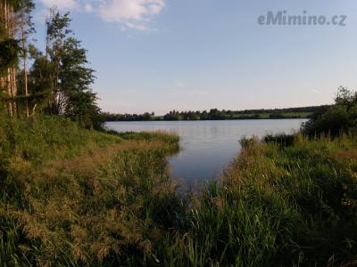 20200720_185037.jpg